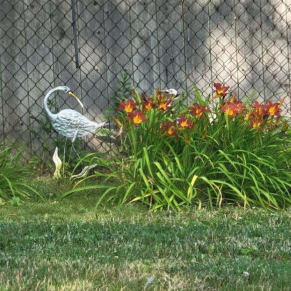 Meet your Posher, Gale - Picture 2 of 7